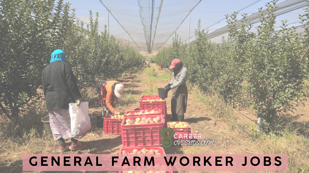 Explore general farm worker jobs with hands on experience, career growth opportunities, and skills needed to succeed in modern agriculture.